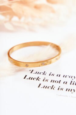 Plieninis apyrankė su kubiniais cirkoniais ir auksu Lauren